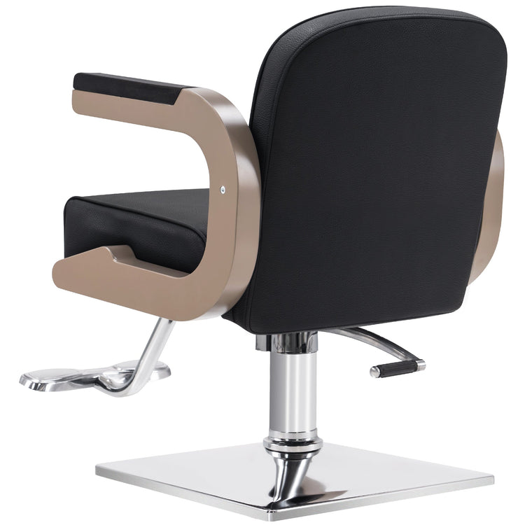 Salon Chair For Hair Stylist, Hydraulic Hair Styling Home Salon Chair 9210