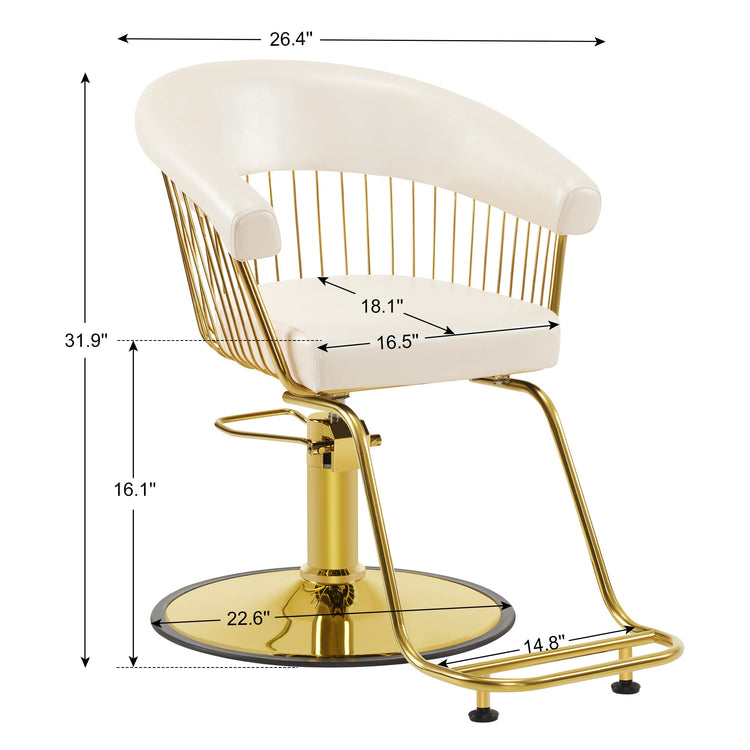 Hydraulic Salon Chair For Hair Stylist, Home Salon And Barbershop 8677