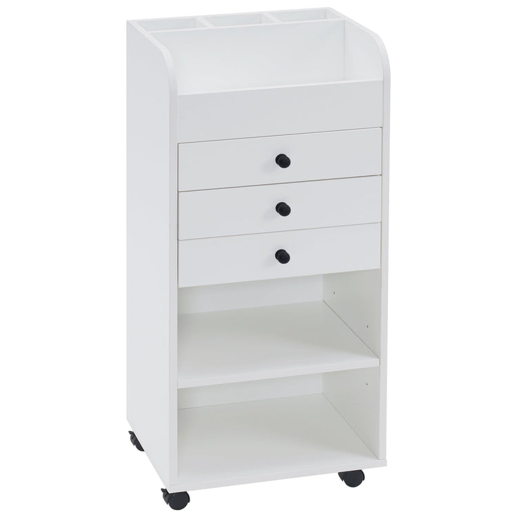 Salon Cart With Wheels Barber Rolling Trolley Spa Stylist Furniture 2034