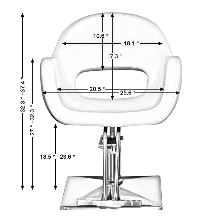 Classic Hydraulic Barber Chair Salon Beauty Spa Hair Styling Chair 2046
