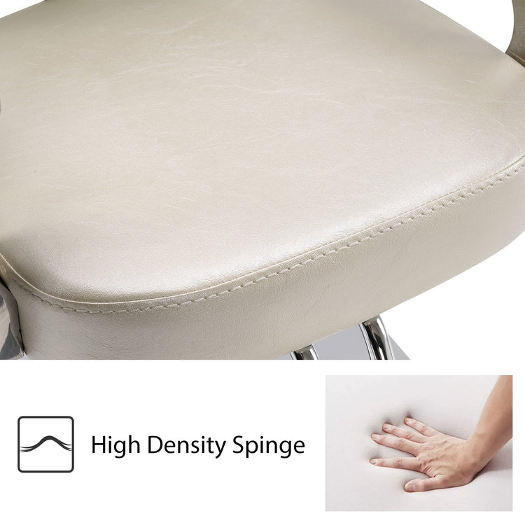 Classic Salon Chair, Hydraulic Hair Salon Styling Beauty Equipment 2069