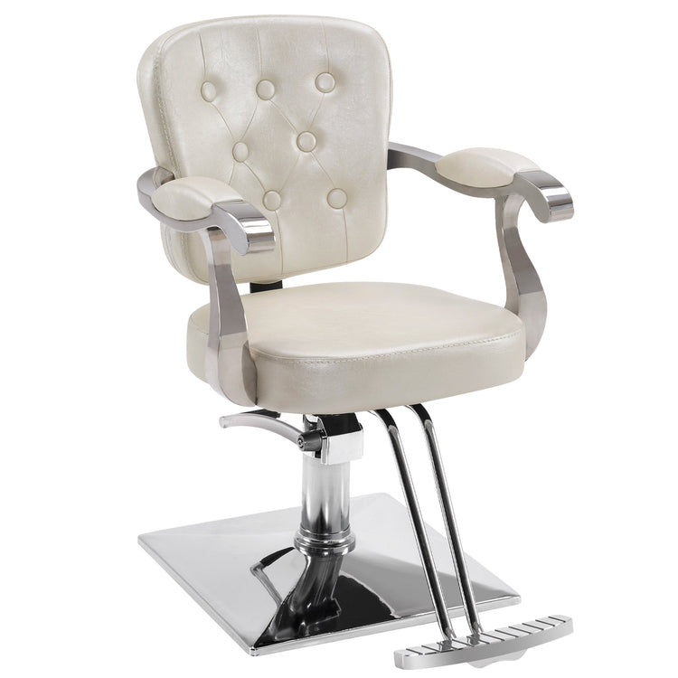 Classic Salon Chair, Hydraulic Hair Salon Styling Beauty Equipment 2069