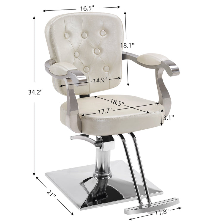 Classic Salon Chair, Hydraulic Hair Salon Styling Beauty Equipment 2069