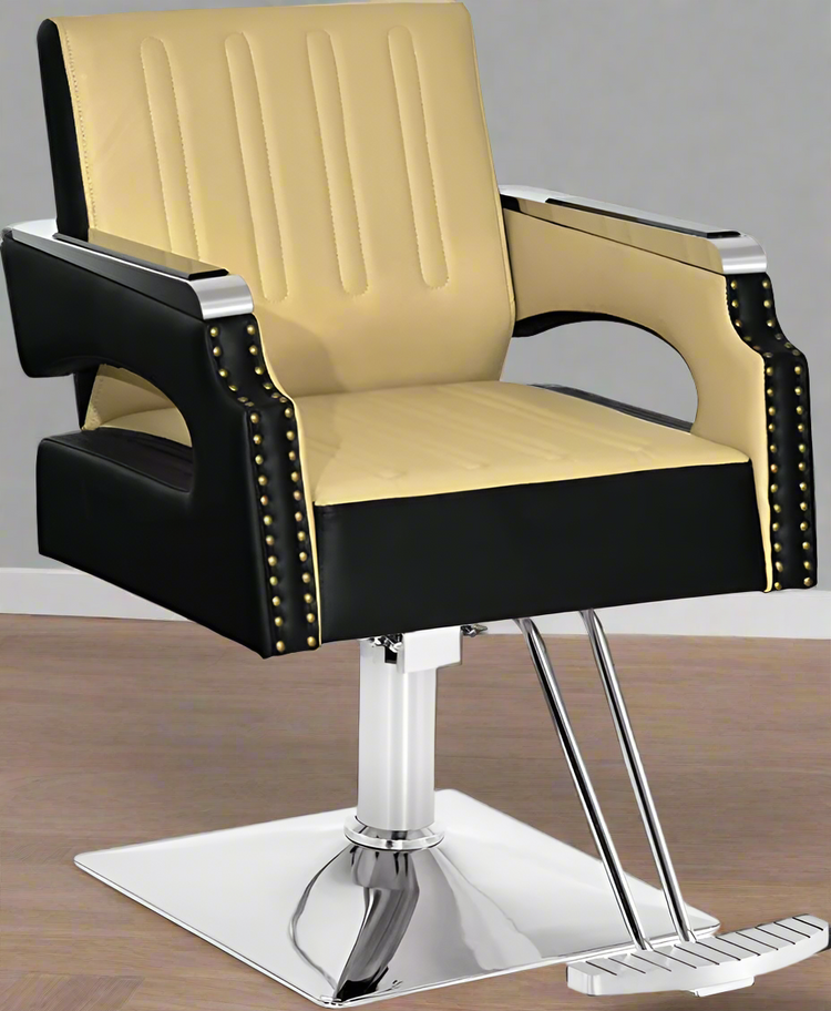 Salon Chair For Hair Stylist, Hydraulic Salon Styling Equipment 8817