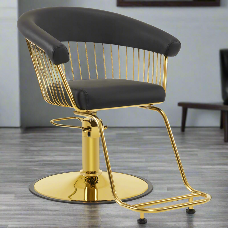 Hydraulic Salon Chair For Hair Stylist, Home Salon And Barbershop 8677