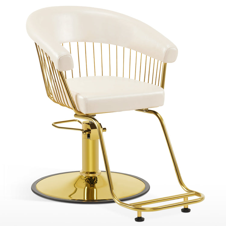 Hydraulic Salon Chair For Hair Stylist, Home Salon And Barbershop 8677