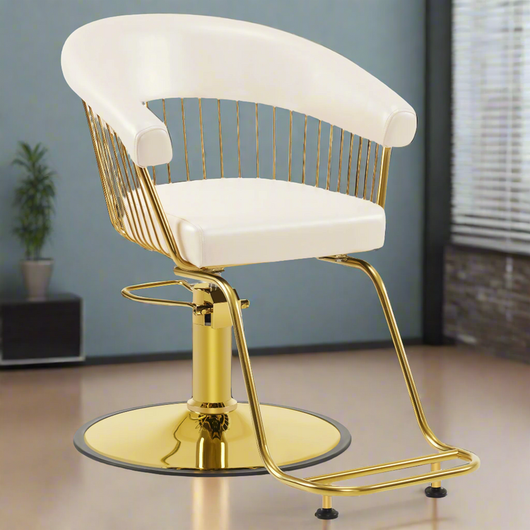 Hydraulic Salon Chair For Hair Stylist, Home Salon And Barbershop 8677