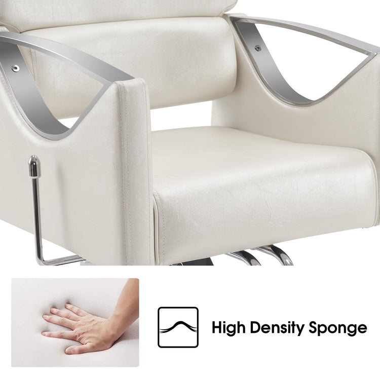 Reclining Styling Barber Chairs For Salon,Hair Spa Salon Equipment 3126