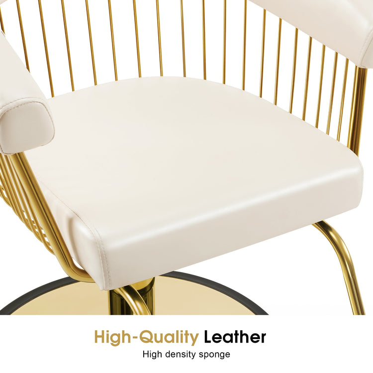 Hydraulic Salon Chair For Hair Stylist, Home Salon And Barbershop 8677