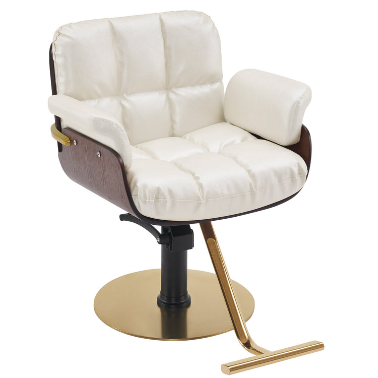 Ins Salon Chair, Hydraulic Hair Cutting Styling Chair For Hair Stylist 3071