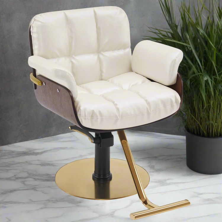 Ins Salon Chair, Hydraulic Hair Cutting Styling Chair For Hair Stylist 3071