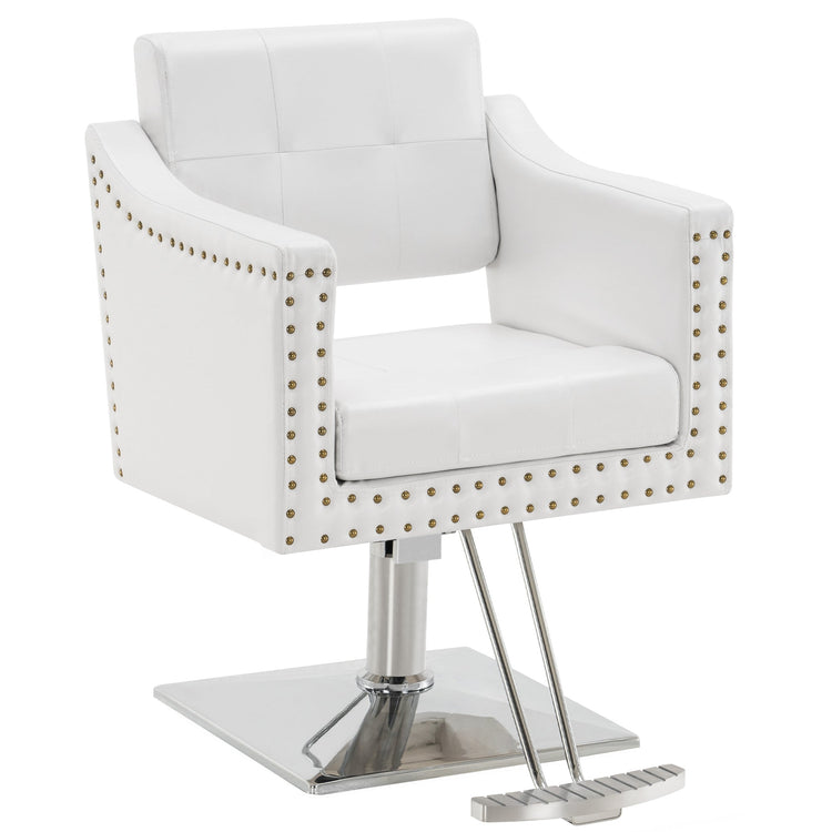 Hydraulic Salon Chair,Beauty Spa Styling Chair For Hair Stylist 8813