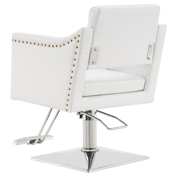 Hydraulic Salon Chair,Beauty Spa Styling Chair For Hair Stylist 8813