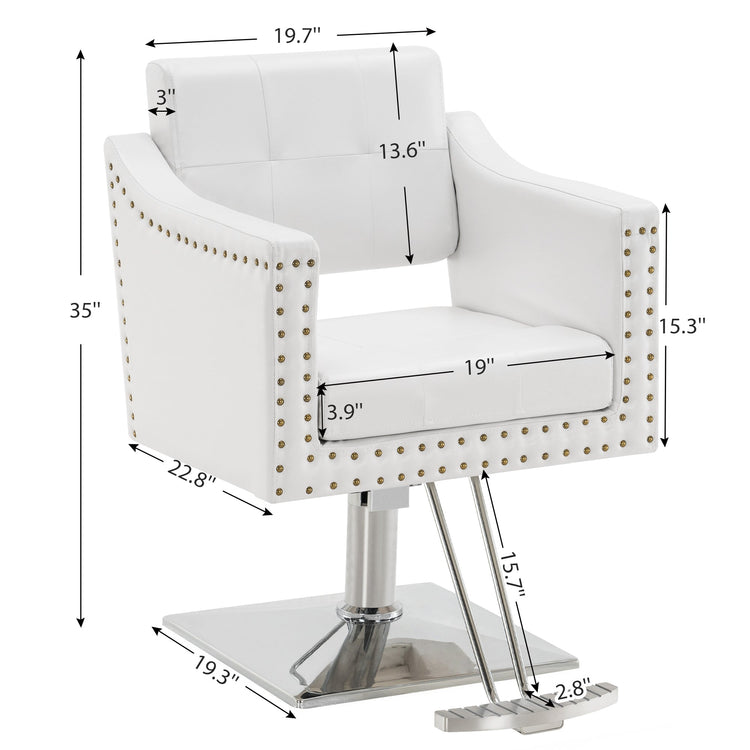 Hydraulic Salon Chair,Beauty Spa Styling Chair For Hair Stylist 8813