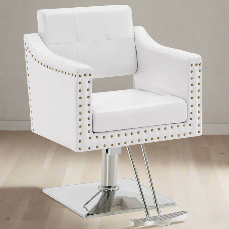 Hydraulic Salon Chair,Beauty Spa Styling Chair For Hair Stylist 8813