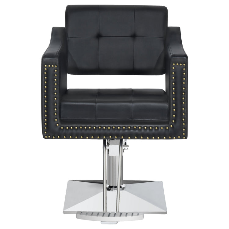 Hydraulic Salon Chair,Beauty Spa Styling Chair For Hair Stylist 8813