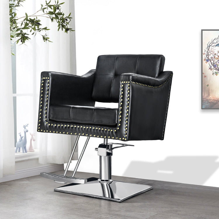 Hydraulic Salon Chair,Beauty Spa Styling Chair For Hair Stylist 8813