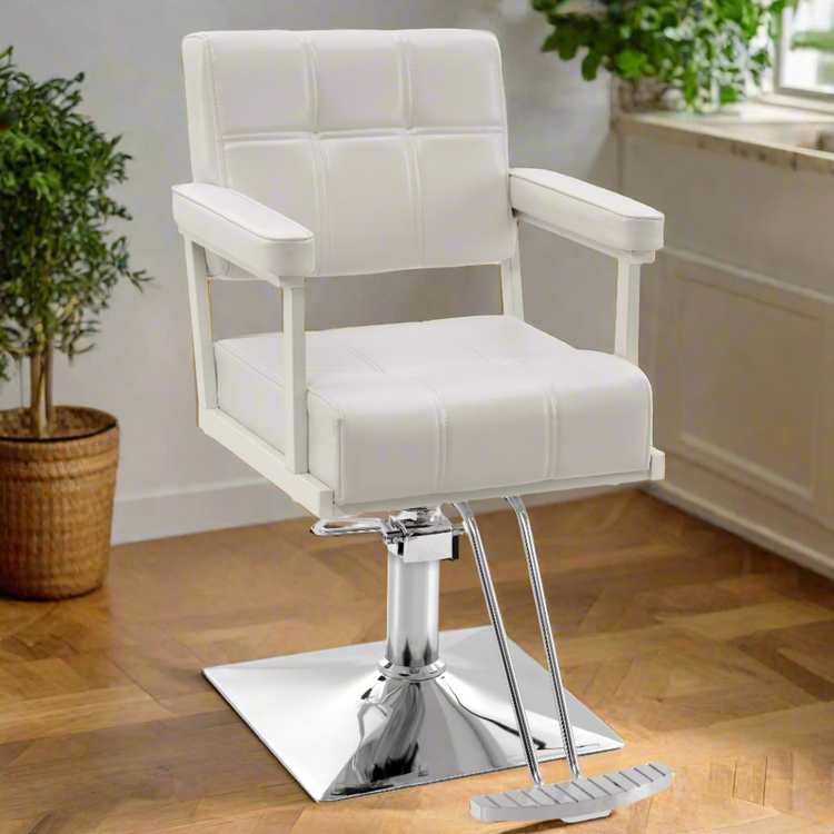 Styling Salon Chair, Hydraulic Pump Swivel Salon Equipment 8816