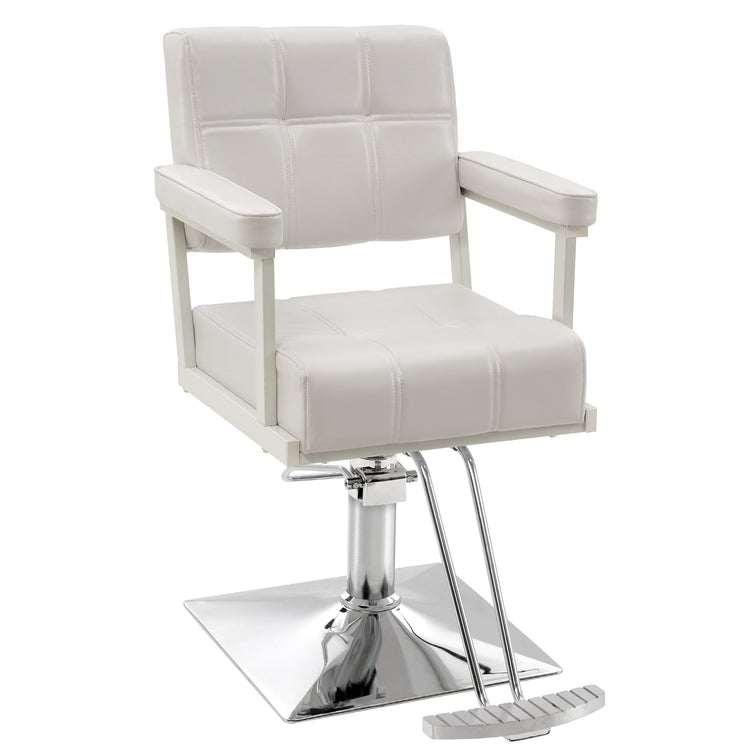 Styling Salon Chair, Hydraulic Pump Swivel Salon Equipment 8816