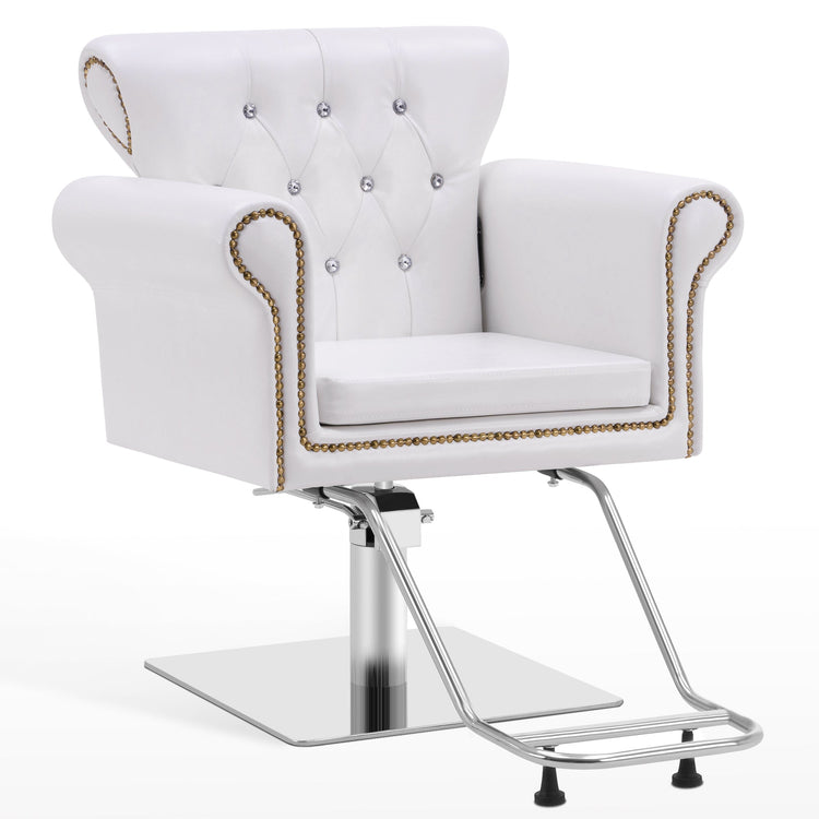 Hydraulic Salon Chair, Vintage Hair Styling Spa Salon Equipment 8899