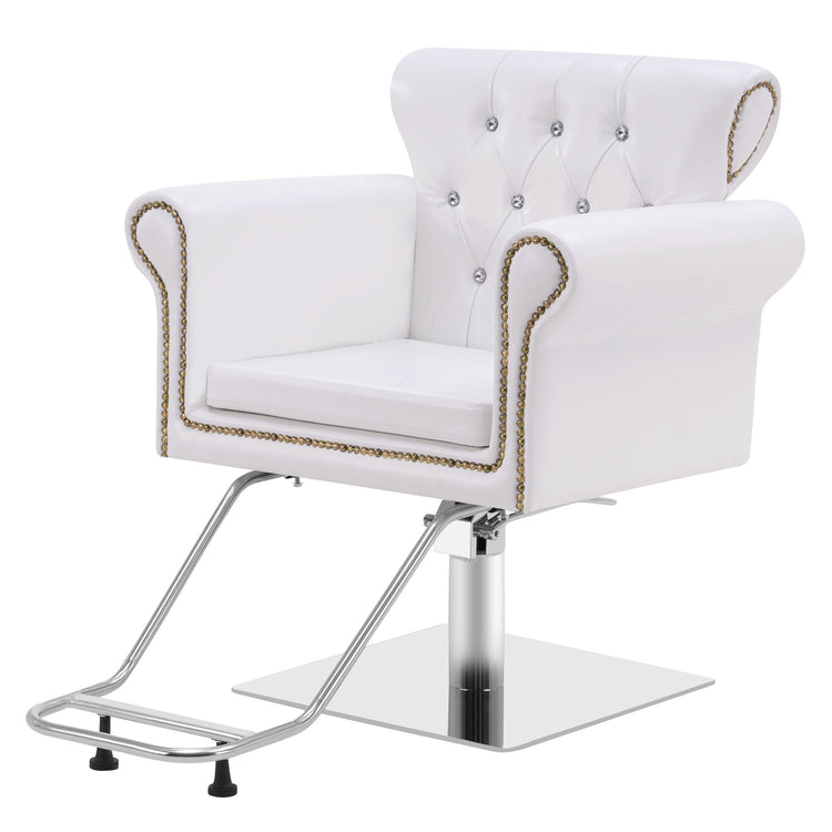 Hydraulic Salon Chair, Vintage Hair Styling Spa Salon Equipment 8899
