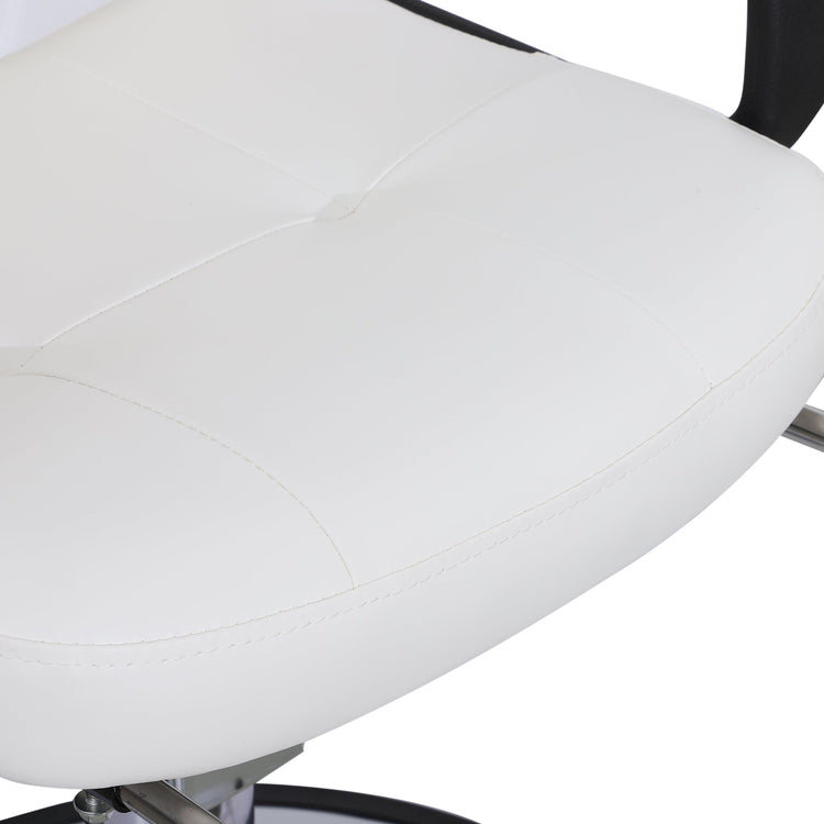 Classic Hydraulic Salon Chair, Salon Beauty Spa Styling Chair 8837