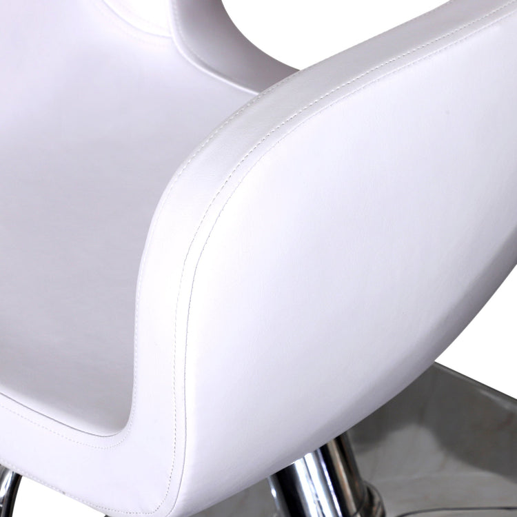 Classic Hydraulic Barber Chair Salon Beauty Spa Hair Styling Chair 2046