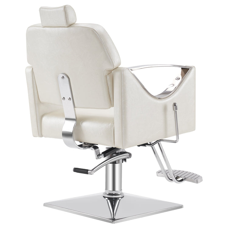 Reclining Styling Barber Chairs For Salon,Hair Spa Salon Equipment 3126