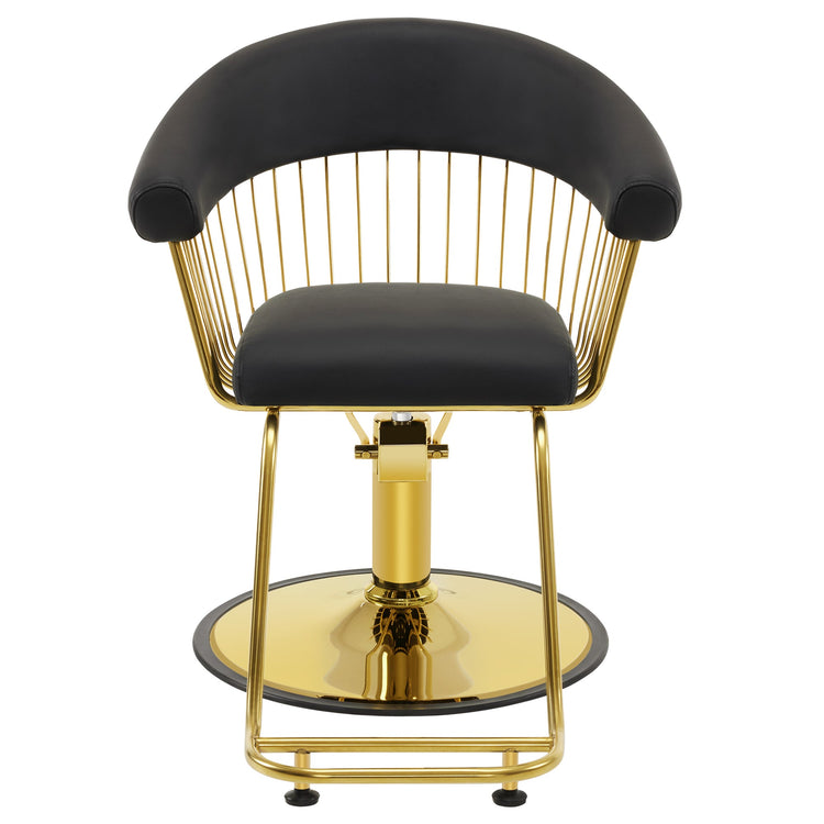 Hydraulic Salon Chair For Hair Stylist, Home Salon And Barbershop 8677