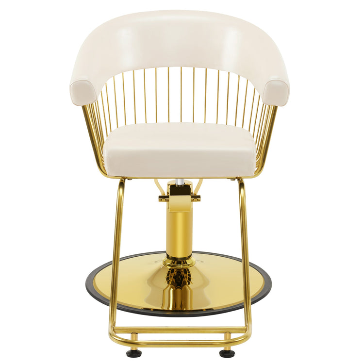 Hydraulic Salon Chair For Hair Stylist, Home Salon And Barbershop 8677