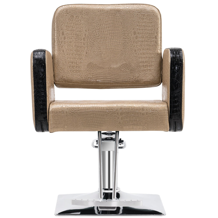 Salon Chair For Hair Stylist, Hydraulic Beauty Spa Styling Chair 8814