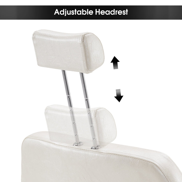 Reclining Styling Barber Chairs For Salon,Hair Spa Salon Equipment 3126