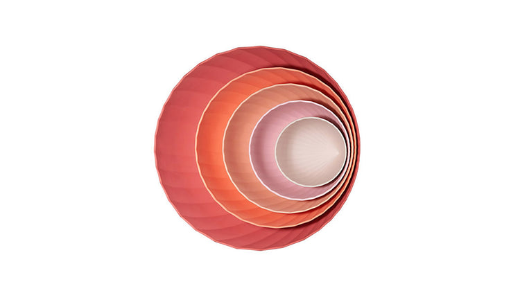 Camellia Bowl Set - RedDot Design Award Winner (Set of 5)