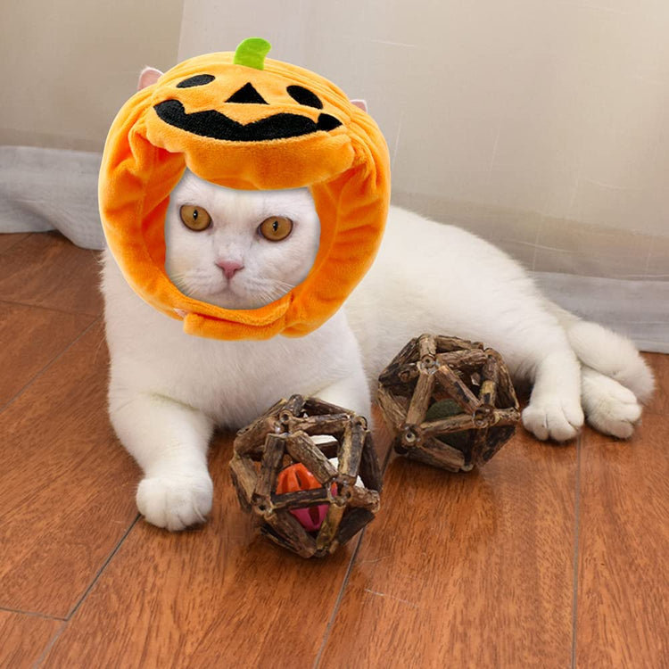 Halloween Pet Pumpkin Hat