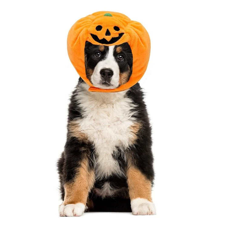 Halloween Pet Pumpkin Hat