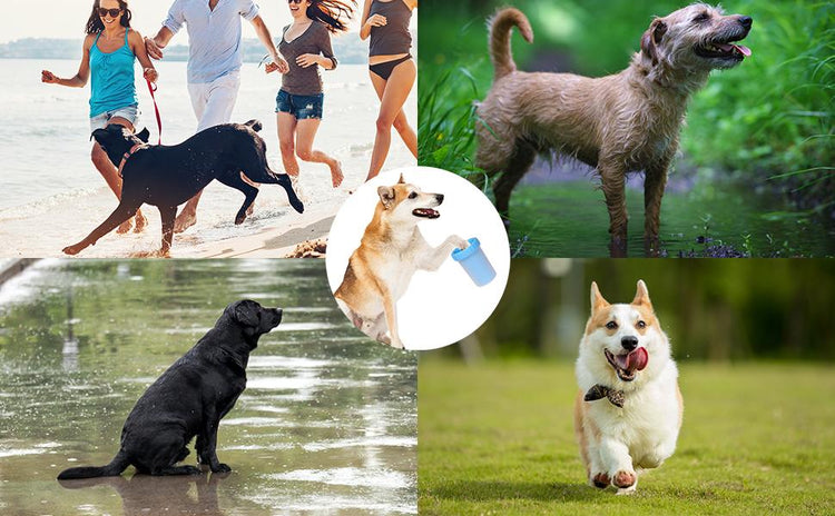2 in 1 Silicone Dog Paw Cleaner Cup with Towel