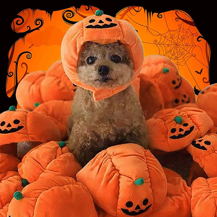 Halloween Pet Pumpkin Hat