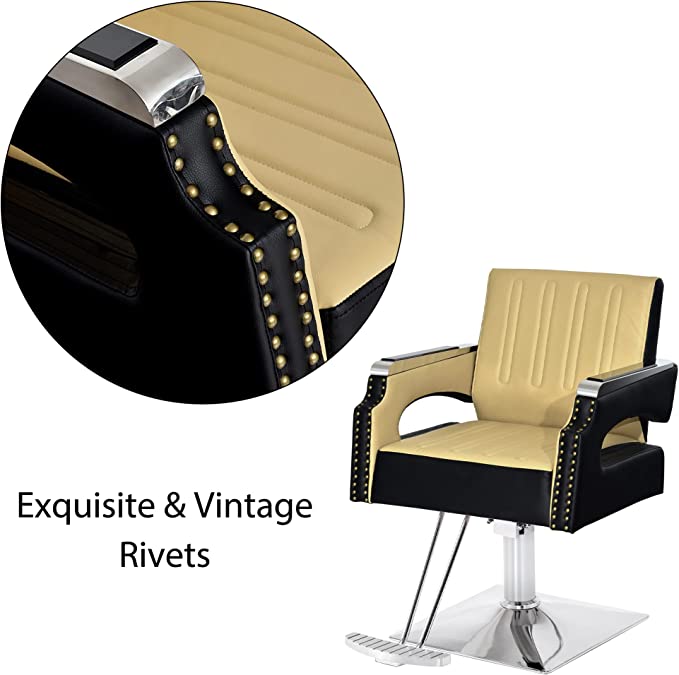 Salon Chair For Hair Stylist, Hydraulic Salon Styling Equipment 8817