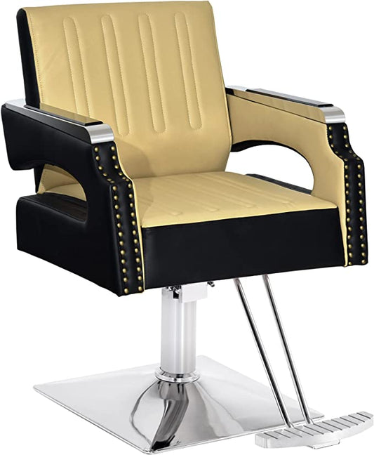 Salon Chair For Hair Stylist, Hydraulic Salon Styling Equipment 8817