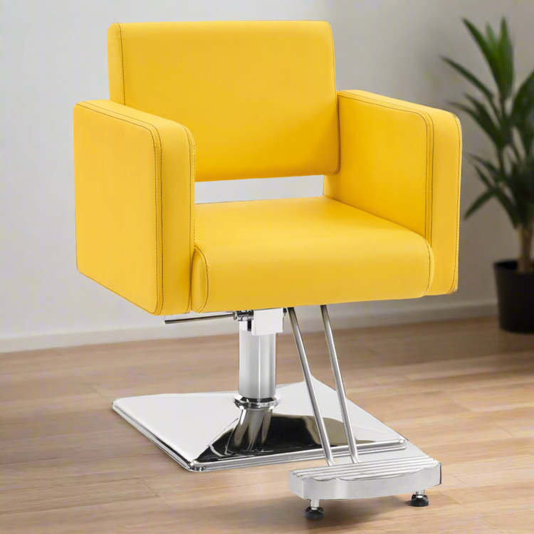 Styling Salon Chair For Hair Stylist, Black Hydraulic Barber Chair 3805