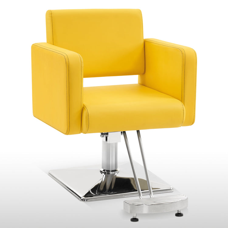 Styling Salon Chair For Hair Stylist, Black Hydraulic Barber Chair 3805