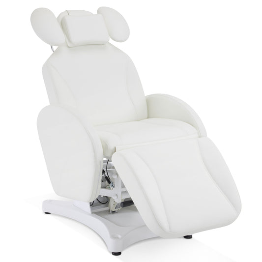 Electric Esthetician Bed, Ergonomic Facial Massage Table With 1 Motor, 330 Lbs Capacity 2114