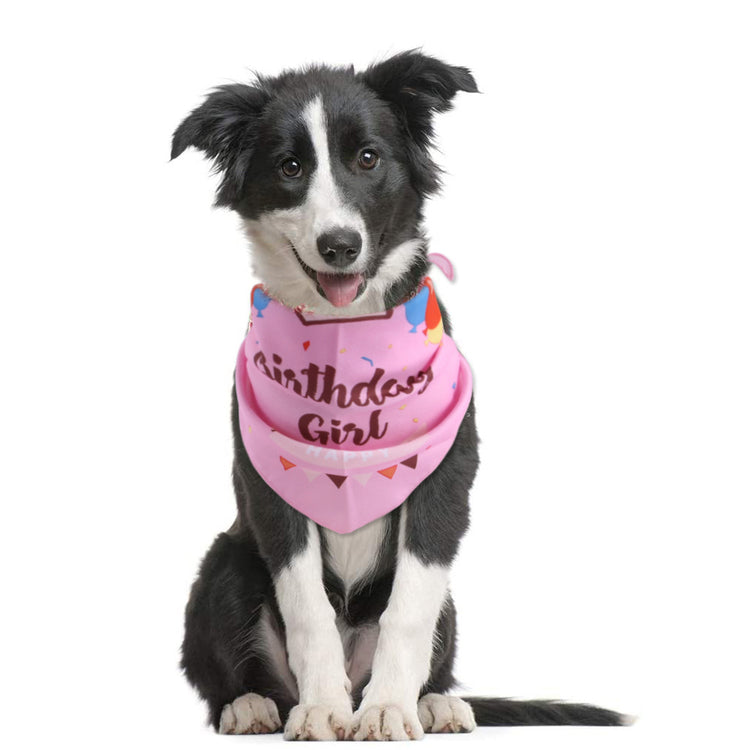 Birthday Boy/Birthday Girl Pet Bandana