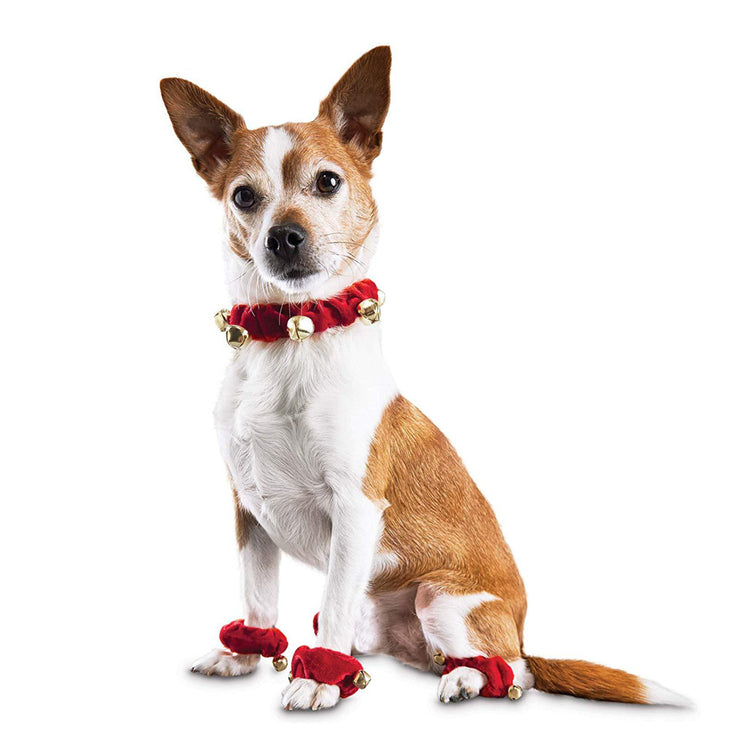 Jingle Bells Pet Red Plush Collar and Anklet Set