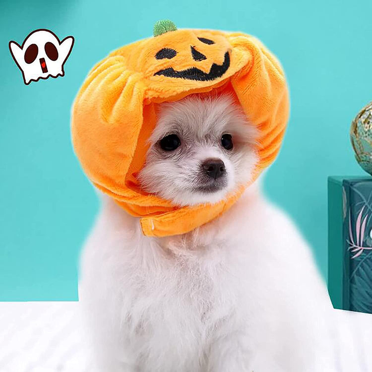 Halloween Pet Pumpkin Hat