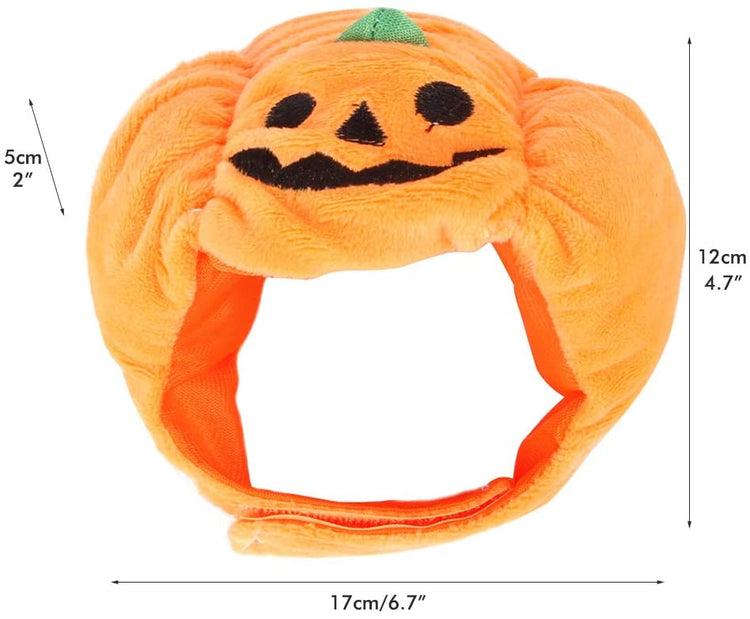 Halloween Pet Pumpkin Hat